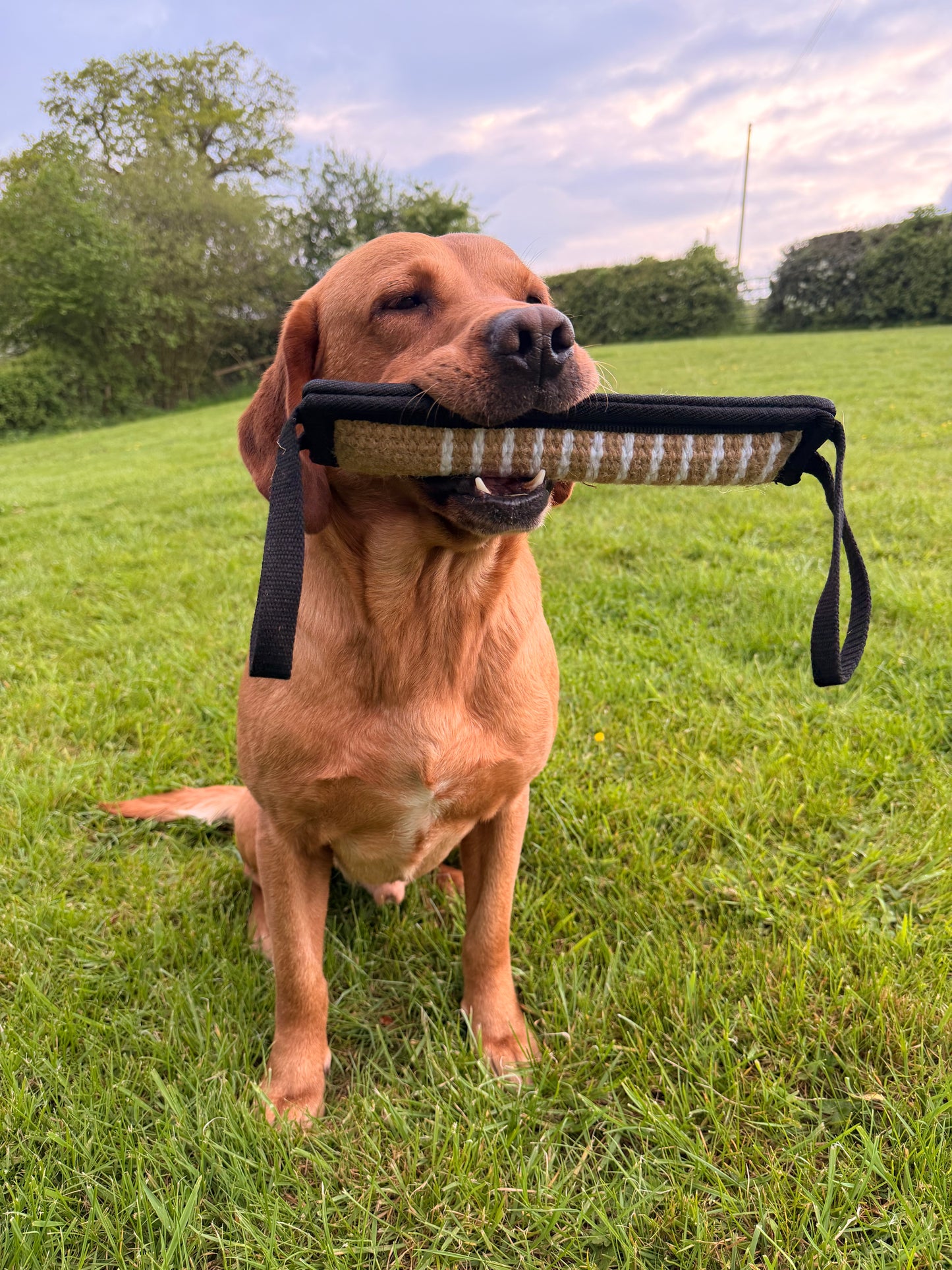 Working Dog Jute Bite Tug