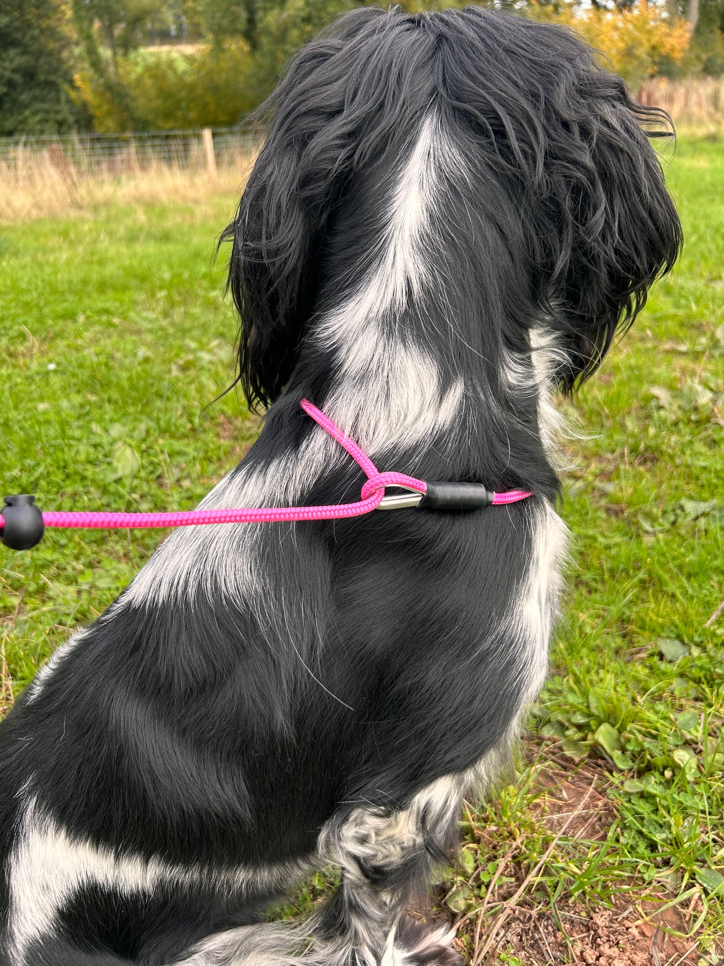 FeatherLine Slip Lead