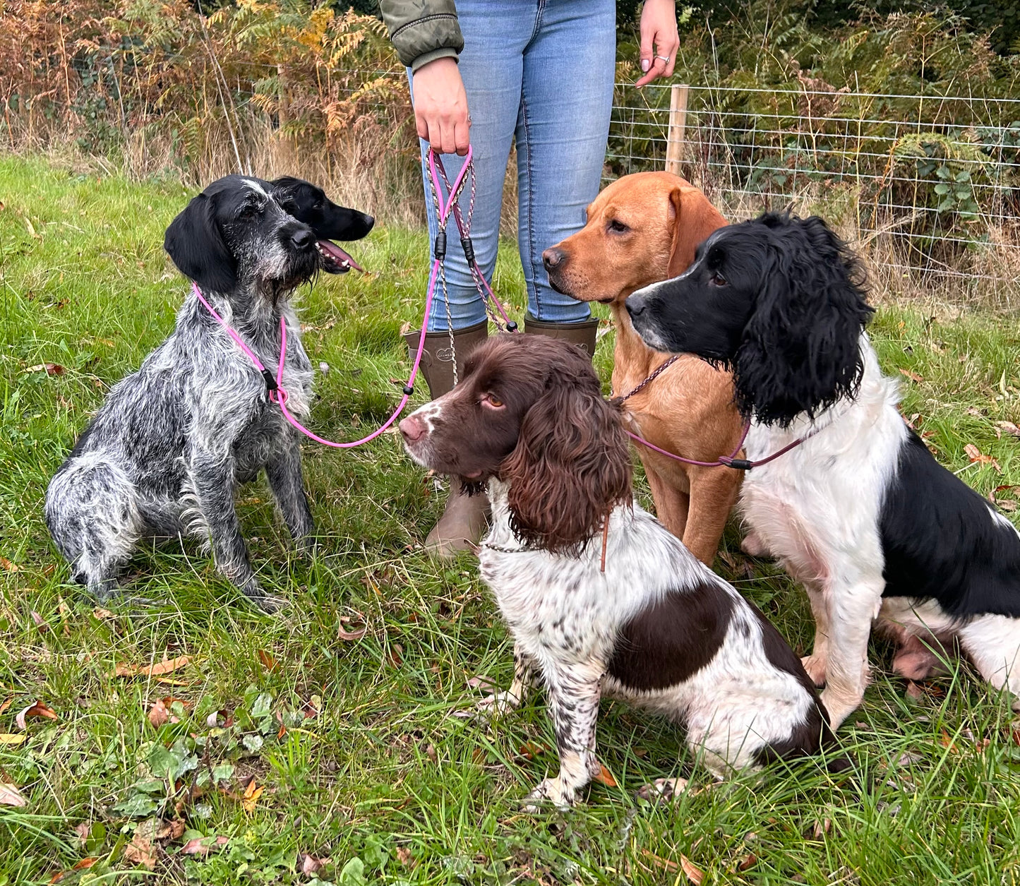 FeatherLine Slip Lead