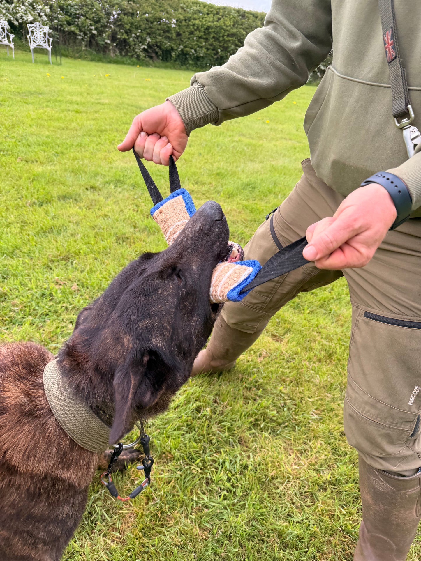 Working Dog Jute Bite Tug