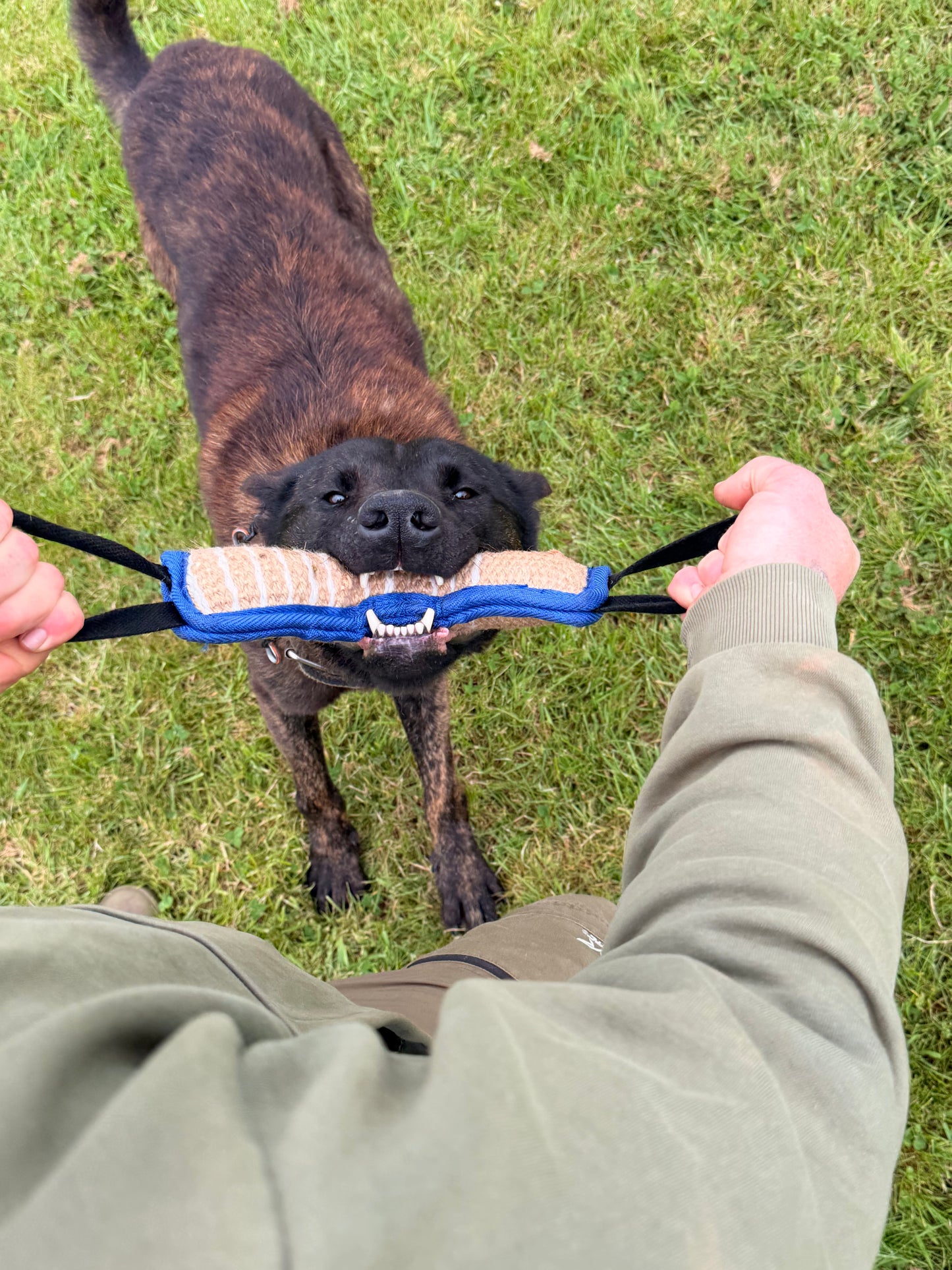 Working Dog Jute Bite Tug