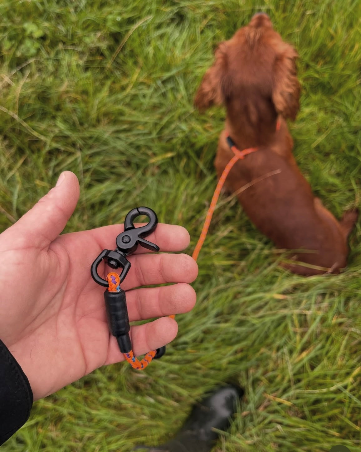 Hands Free Slip Lead￼