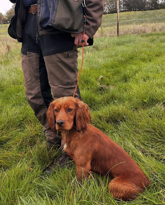Hands Free Slip Lead￼