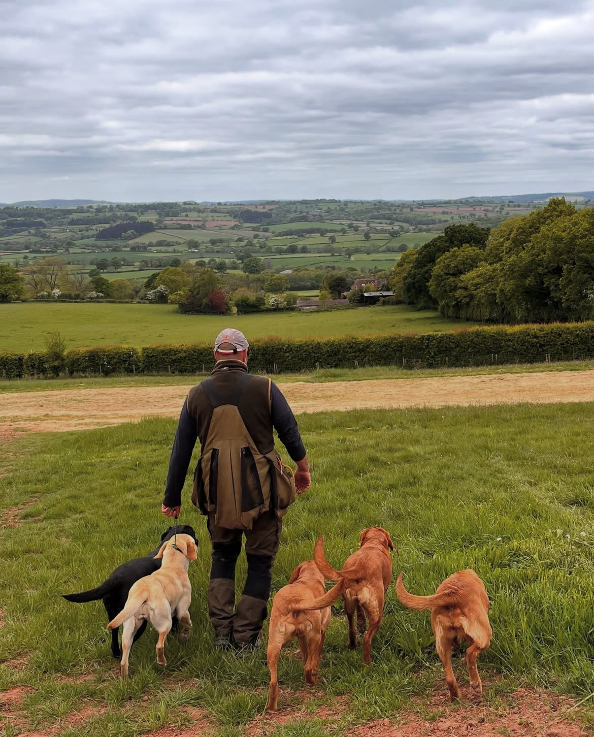 Obedience Slip Collar